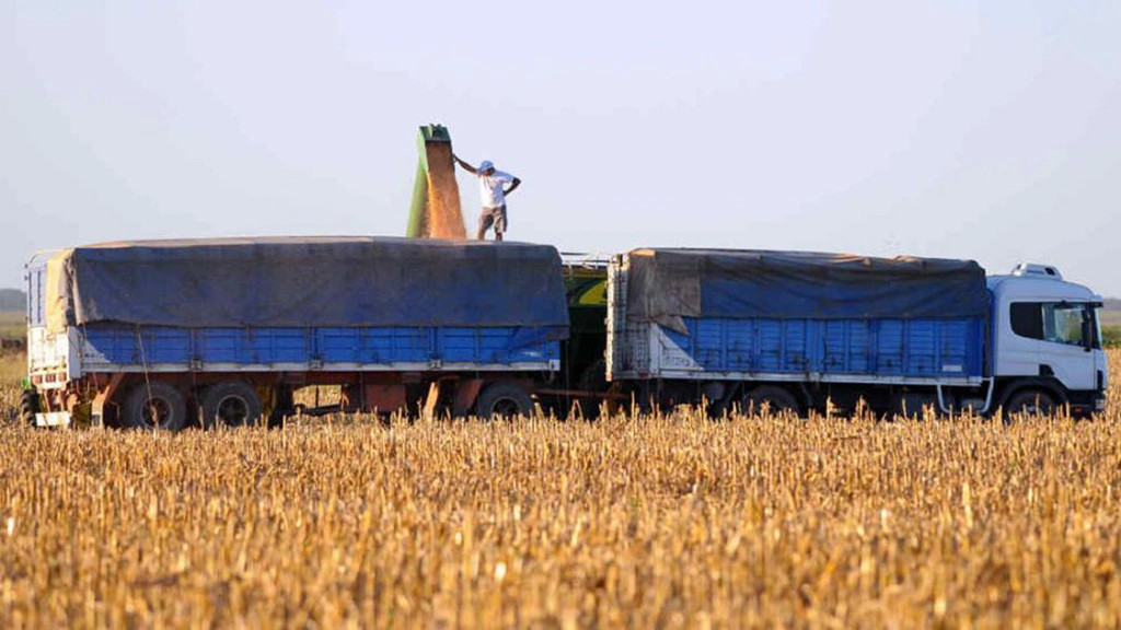 Transporte de Granos & Cereales